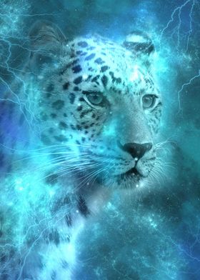 Snow Leopard No Planets