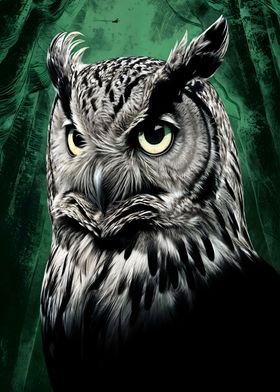 owl art 