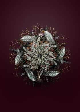 Allium Foliosum Wreath
