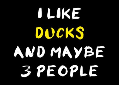Ducks And Maybe 3 People