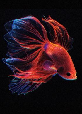 Siamese fighting fish