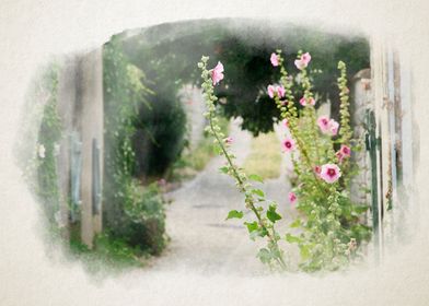 small alley with hollyhock