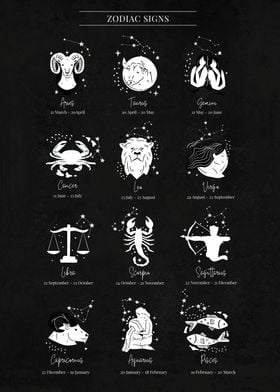 Zodiac signs Constellation