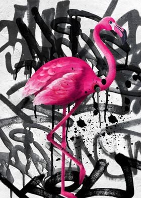 Flamingo Graffiti 