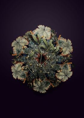 Viscum Album Fruit Wreath