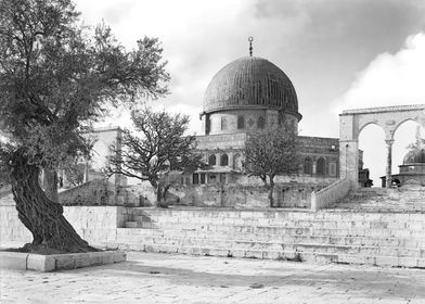 Dome of the Rock and Olive