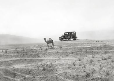 Car and camel 