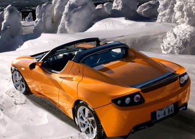 Tesla Roadster Sport