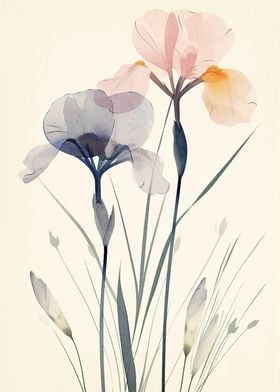 Watercolor Flowers