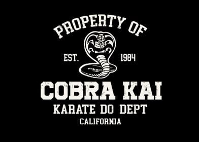 Property of cobra kai