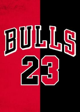 Chicago Bulls 