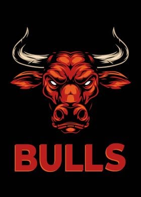 Retro Bulls