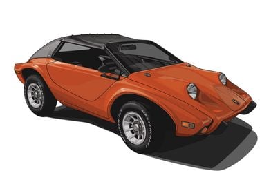 1973 Meyers Manx SR2