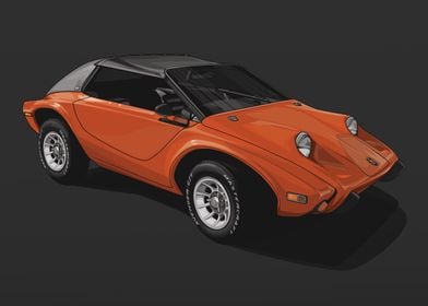 1973 Meyers Manx SR2