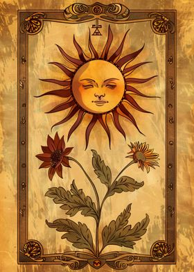 sun tarot card