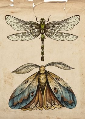 magical moth and dragonfly
