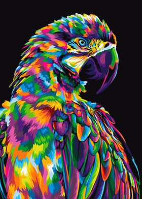 Parrot in colorful