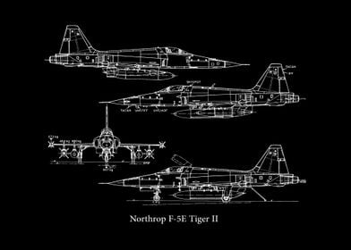 Northrop F5E Tiger II