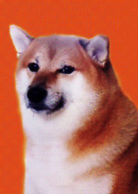 Doge meme