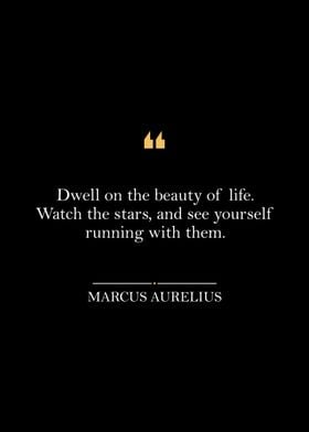 Marcus Aurelius Quotes 2