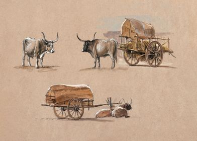 Oxcarts