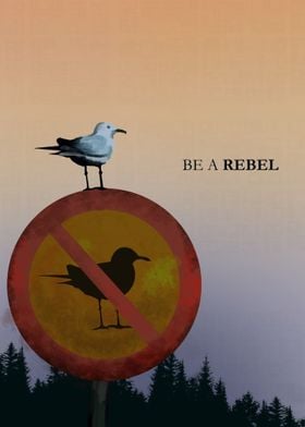 be a rebel bird 