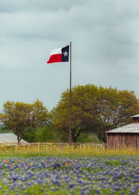 Texas flag and bluebonnets