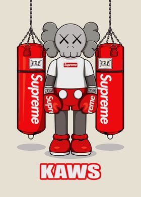 Kaws