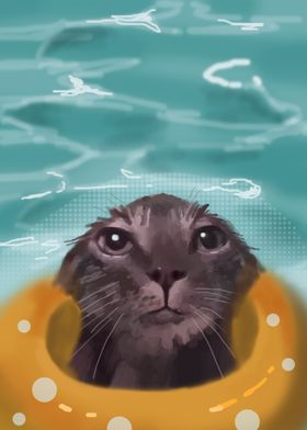 wet cat in the pool 