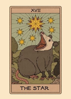 The Star  Possum Tarot