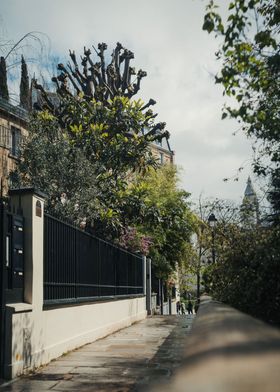 Lush Green City Path