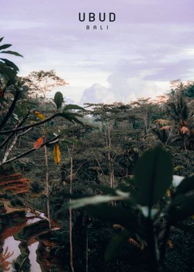 Ubud  