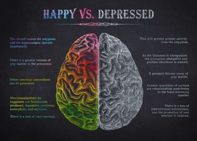 Happy VS Depressed Brain