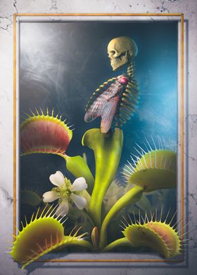 Venus Flytrap