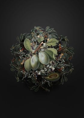 Plum Fruit Wreath