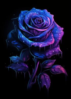 Stary Black Rose Flower