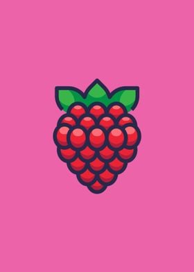 Minimalist pink Raspberry