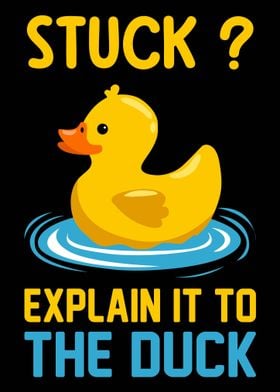 Explain it To The Duck
