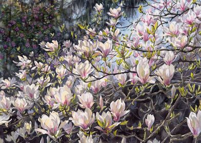 Magnolia Blossom Cascade