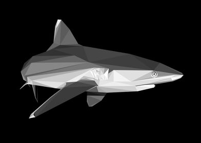 Shark Low Poly Abstract