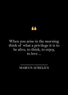 Marcus Aurelius Quotes 7