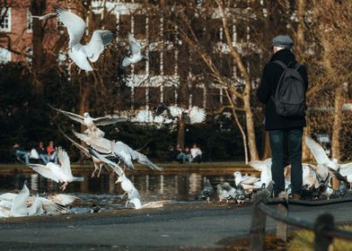 Urban Wings at Dusk