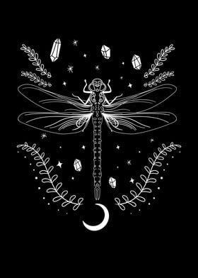 Magical Dragonflies