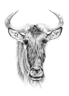 Wildebeest portrait