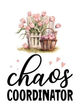 Chaos coordinator