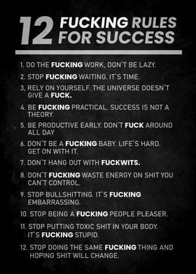 12 fucking rules to succes