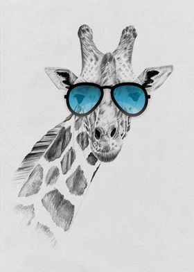 Giraffe in sunglasses