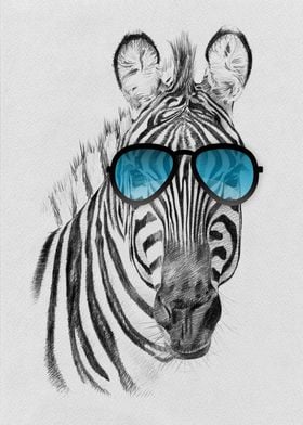 Zebra in sunglasses