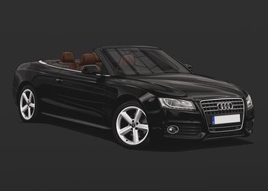 Audi A5 Cabriolet 2010