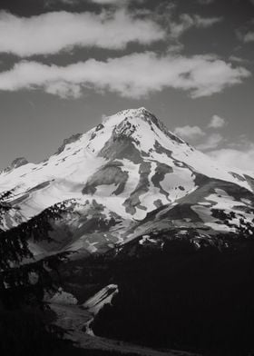 Mount Hood Black and White